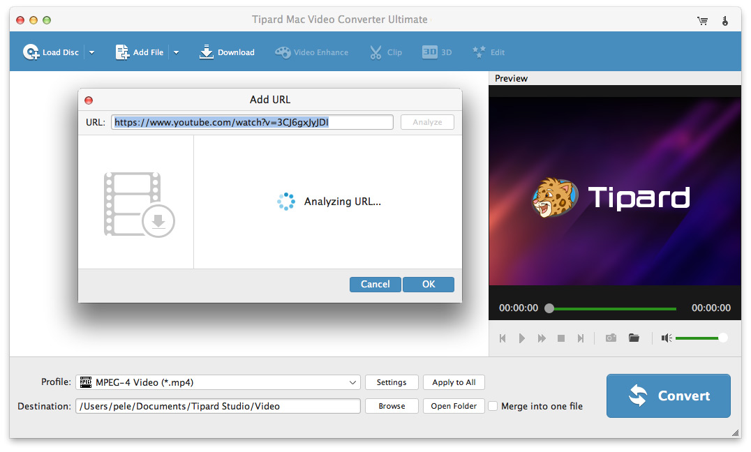 free youtube to mp4 converter for mac